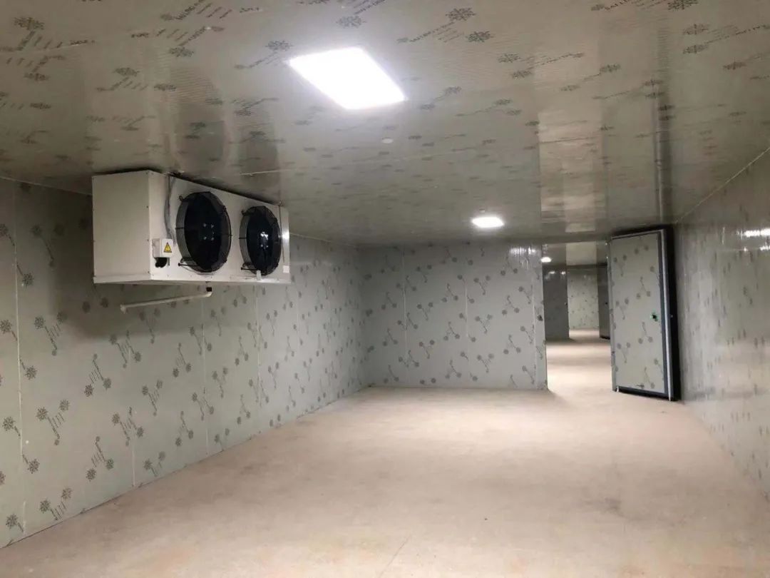 娄烦气调保鲜冷库造价
